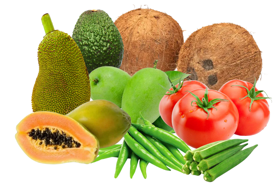 Home vegetable banner